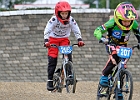 921H7680 bmx-tc-11-9-21